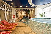 Pannonia Hotel - велнес-отделение отеля с джакузи и палвательным бассейном