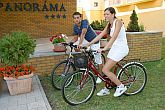 Plimbare cu bicicleta in hotelul Panorama din Siofok
