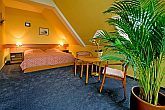 Romantic Cameră dublă la un preț accesibil în hotelul Thermal 3*