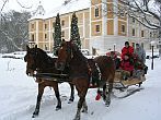 Hôtel de château á Hédervár - la réservation réduite online - traîneau à cheval