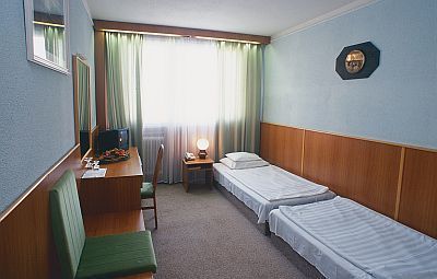 Camera comfortabila in hotel Aranybika - hotel în Debrecen