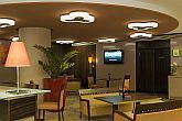 Lounge in hotelul Mercure City Center