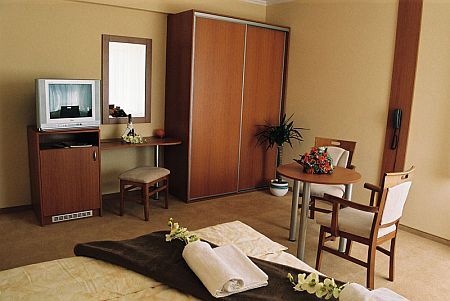 Hotel Wellness M - Hajduszoboszlo - Habitación de apartamento