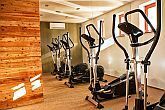 Accommodatie in Sarvar - Fitness in Bassiana Hotel