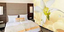 Ambient Hotel AromaSpa Sikonda 4* комната ароматной ромашки
