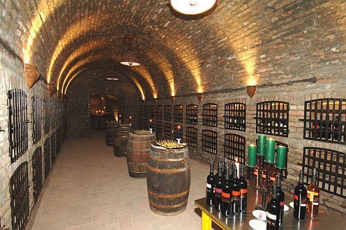 Vin källare på Zichy Park hotell i Bikacs med ett ypperligt vinsort
