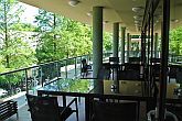 Wellness Hotel Gyula**** terrass på restaurang och café