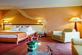 Elegant wellnesshotel in Cserkeszolo 4* Aqua-Spa Wellness Hotel