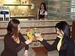 4* Wellness Hotel Drava bar de bebidas en Harkany