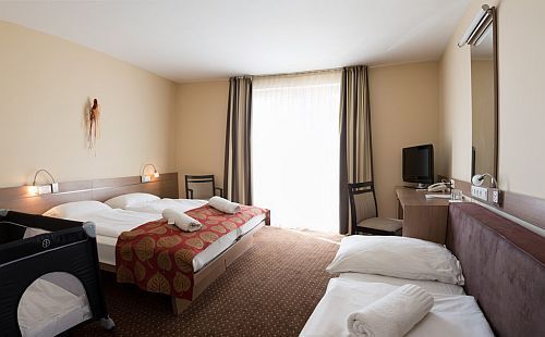 CE Plaza Hotel Siofok - cameră cu trei paturi în Siofok