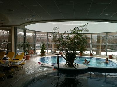 Piscina termale con acqua termale nel Thermal Hotel Visegrad