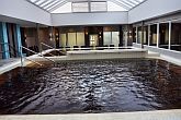 Hotel Delibab -  бассейн с термальной водой