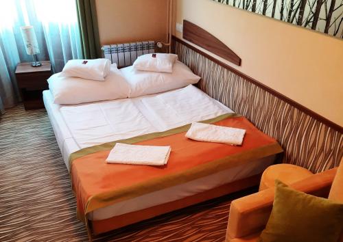 Park Hotel Standard Zimmer für 2 Personen i Gyula zum günstiges Preis
