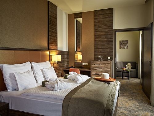 Barack Thermal Hotel in Tiszakécske, Hongarije, gunstige kamers met tweepersoonsbed en halfpension 