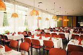 Restaurantul hotelului Lover din Sopron cu panoramă frumoasă
