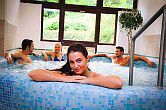 Hotel Lover Sopron - wellness - jacuzzi - fin de semana wellness en Sopron, en el Hotel Lover 