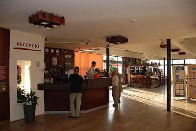 Hotel Europa in Siofok bij het Balatonmeer - receptie