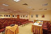 Hunguest Hotel Flora in Eger - airconditioned conferentiezaal