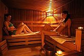 Hotels in Boedapest? - sauna van het driesterren goedkope Hotel Budapest Millennium