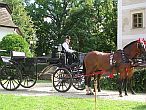 Hotel Castillo Hedervary - coche de caballos en el jardín del castillo