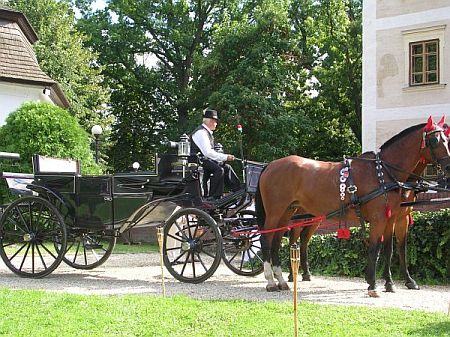 Skjuts i Slott Hotell Hedervary - romantiken och naturen i Ungern