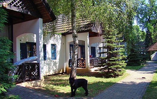 Wakacje na Węgrzech przy Balatonie w Hotelu Club Tihany Bungalows