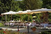 4-sterren hotel in Tarcal, Hongarije - terras van het Graaf Degenfeld Kasteelhotel in het centrum van de bekende Tokaj-wijnstreek