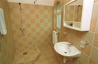 Bath room - Laguna Pension Mogyorod