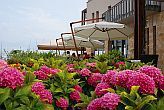 Restaurante Golden Wellness Hotel en el lago Balaton para bodas
