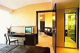 Sarvar lägenhet på Park Inn Hotel - elegant rum i Sarvar