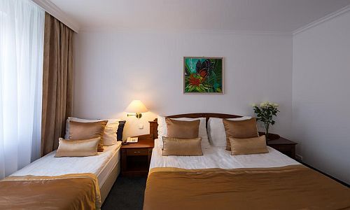 Alojamiento en el centro de Gyor a buen precio Hotel Fonte Gyor***