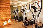 Cazare în Sarvar - Sala de fitness în Hotel Bassiana 