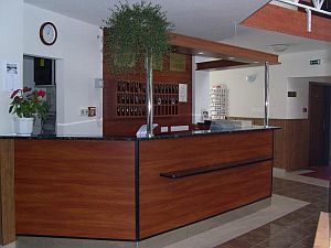 Biatorbagy - hotels in Biatorbagy - Hotel Pontis - online reservation