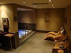 Alberghi di Budapest - Castle Garden hotel - jacuzzi e sauna 