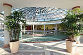 Aquaworld Resort Hotel Budapest/ウエルネスパッケ―ジ・ブダペストの水帝国