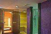 Bastu i Hotell Amira, wellness avdelning - spa wellness Hotell i Heviz