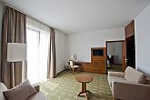 Zenit Hotel Vonyarcvashegy -バラトン湖の畔にあるゼニ　ホテルのダブルル-ムのお部屋