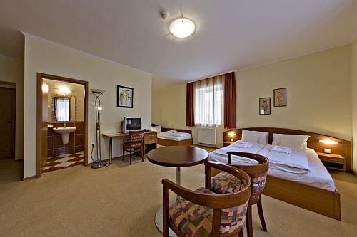 Ruim appartement voor vier personen in het Hotel Mandarin in Sopron, tussen de binnenstad en de dennenbossen van Loverek