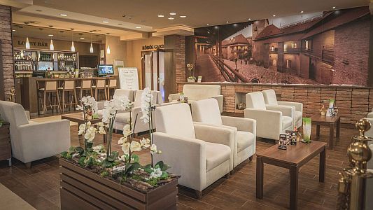 Wellness Hotel Gyula****優れたカクテルを味わえるロビーバー