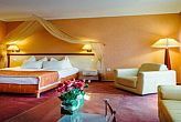 Romantisches und elegantes Wellnesshotel in Cserkeszolo 4* Aqua-Spa