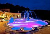 4* wellness weekend cu tratamente Hotel Silvanus Visegrad