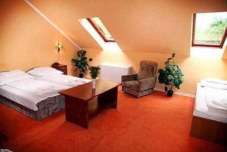 Przestronny pokój w pensjonacie Svájci Lak w Nyiregyhaza w atrakcyjnej cenie