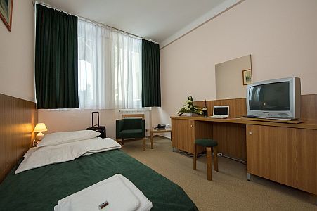Single room in Alföld Gyöngye Hotel with online booking