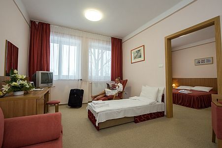 Hôtel Alföld Gyöngye - paquets promotionnels avec demi-pension à Gyopárosfürdő 