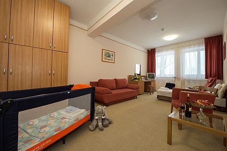 Alföld Gyöngye Hotel　Orosháza　-　アルフルド　ジュンジェ　ホテルのアパ－ト。ご家族でお越しのお客様にお勧めです。