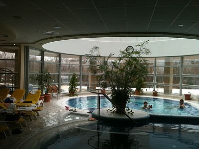 Piscine thermale avec de l'eau médicalisée à Thermal Hotel Visegrad