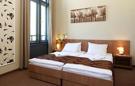 Hotel Erzsébet Királyné -　ホテルエルジ－ベットキラ－イネ－　はグドゥル－にある格安ホテルです