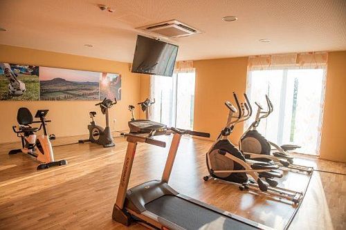 Vulkan Hotel 4* sala fitness in mezza pensione