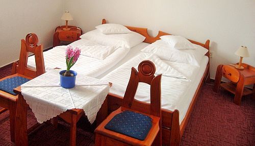 Twin room in Fodor Hotel  - 3-star hotel in Gyula close to Castle Bath