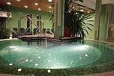 Yacht Hotel Wellness Siofok 4* wellnesshelg i Siofok